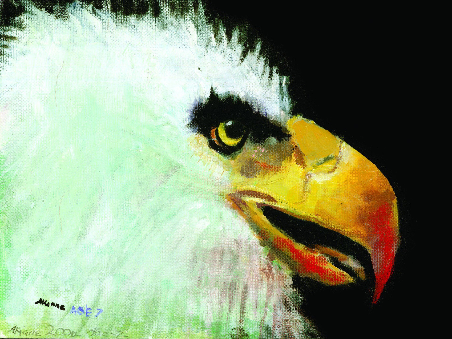 Eagle 2 | Portraits of Jesus | Canvas, Acrylic, Paper Prints and ...