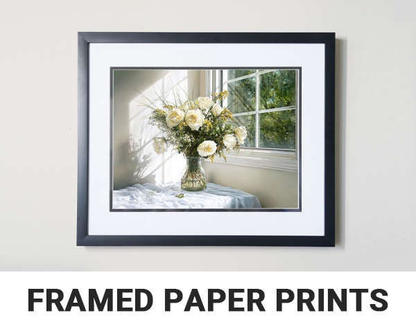Framed Paper Prints