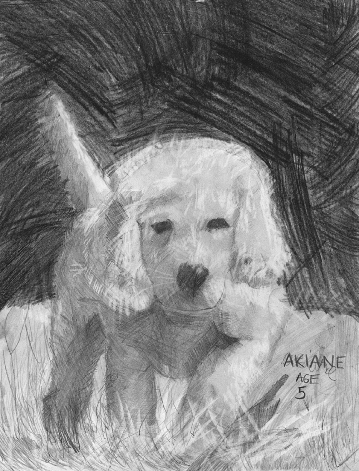Puppy.jpg | Official Akiane Gallery