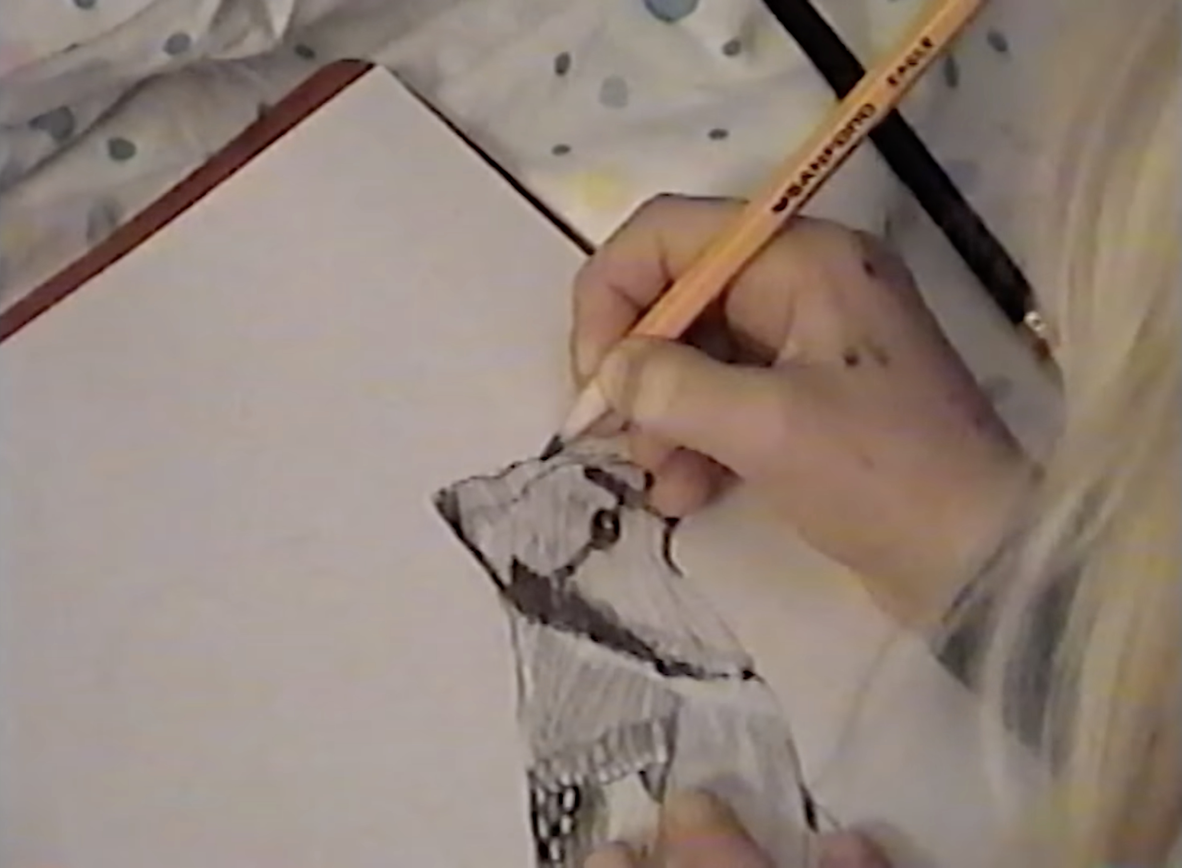 A small hand drawing a bird in pencil