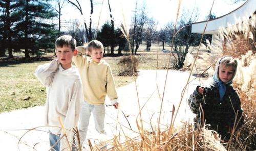 Caring-for-the-plants-around-the-house-min